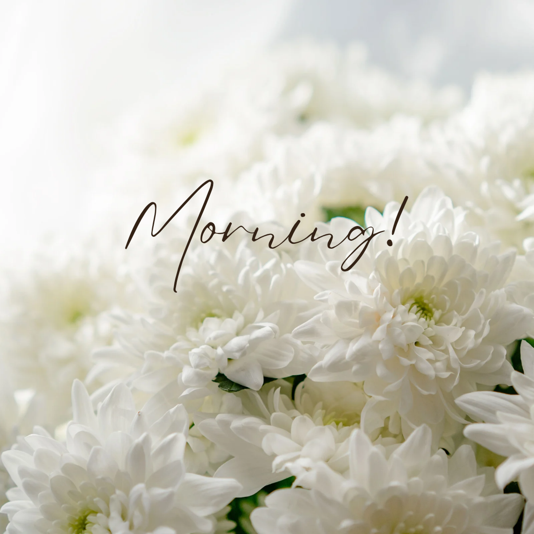 Good morning images with flowers 